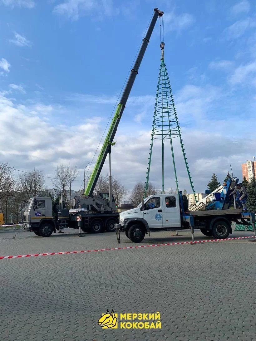 По Беларуси начинают устанавливать новогодние ёлки