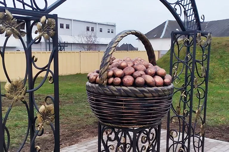 В Беларуси установили памятник картошке под Бобруйском