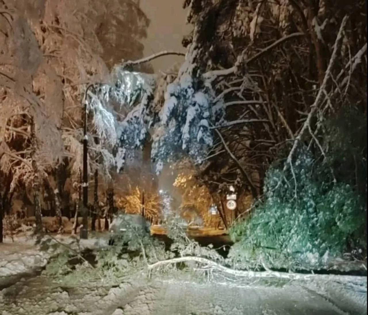 Падение деревьев под тяжестью намерзшего льда.